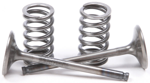 PROX 发动机 EXHAUST VALVE CONVERSION SET TI-STEEL GAS/YAM