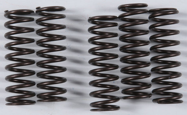 KG Kawasaki High Performance Spring Set