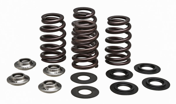 KPMI 发动机 RACING VALVE SPRING KIT