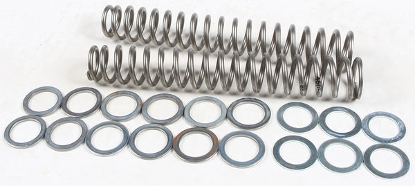 RACE TECH 避震 FORK SPRING 0.85KG