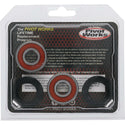 PIVOT WORKS 轴承 WHEEL BEARING KIT PREMIUM