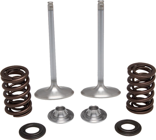 KPMI 发动机 INTAKE VALVE SPRING KIT