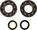 ALL BALLS 缸垫/密封 CRANKSHAFT BEARING/密封套件
