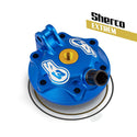 S3 动力版 缸盖 Sherco 300 2015年以前车型