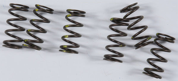 KG Kawasaki High Performance Spring Set