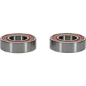 PIVOT WORKS 轴承 WHEEL BEARING KIT PREMIUM