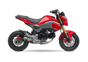 YOSHIMURA 排气管 EXHAUST RACE RS-2 FULL-SYS SS-CF-SS WORKS