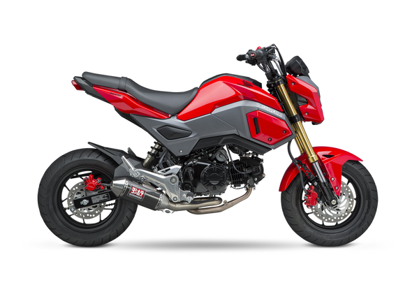 YOSHIMURA 排气管 EXHAUST RACE RS-2 FULL-SYS SS-CF-SS WORKS