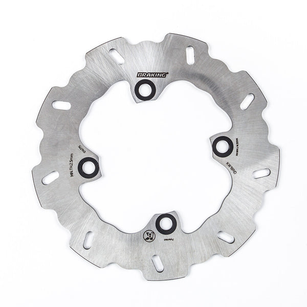 BRAKING 刹车 ROTOR REAR