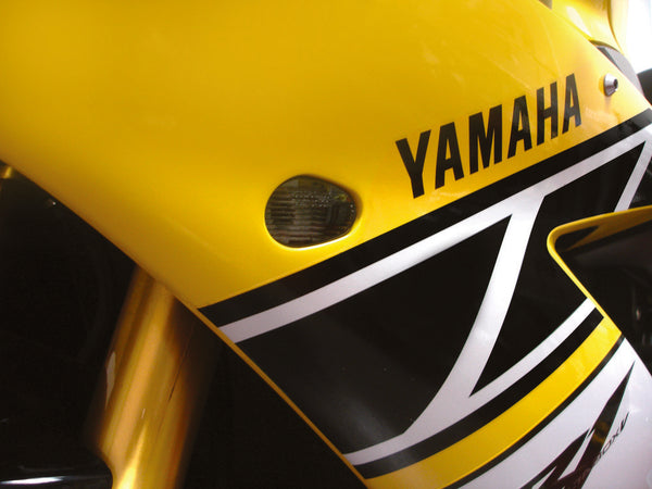 HOTBODIES 照明 FLUSH MOUNT SIGNAL TS SMOKE