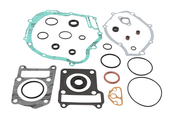 VERTEX 缸垫/密封 COMPLETE GASKET SET WITH OIL SEALS