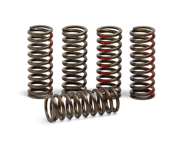 PRO CIRCUIT 离合器 P/C CLUTCH SPRINGS CRF250R '18