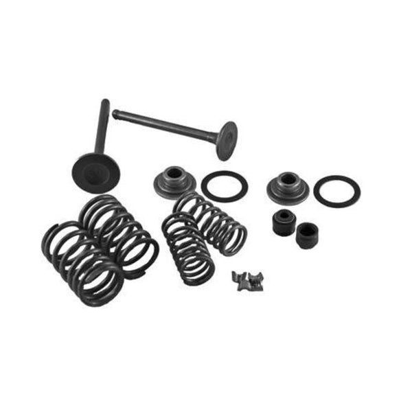 MOGO PARTS 发动机 GY6 Engine Valve Kit