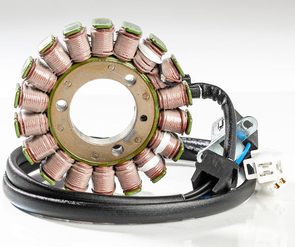 RICKS 电路装置 STATOR