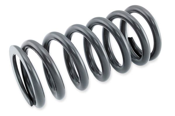 RACE TECH 避震 SHOCK SPRING 4.6KG