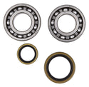 ALL BALLS 缸垫/密封 CRANKSHAFT BEARING/密封套件