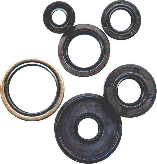 VERTEX 缸垫/密封 OIL SEAL SET