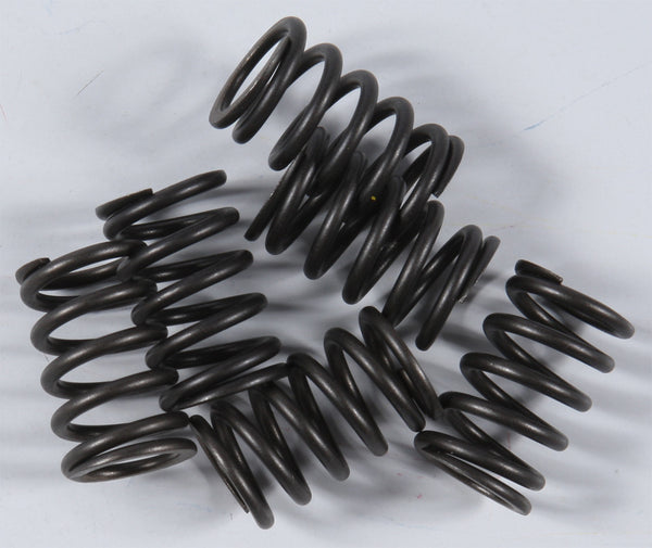 KG Kawasaki High Performance Spring Set