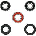 PIVOT WORKS 轴承 WHEEL BEARING KIT PREMIUM