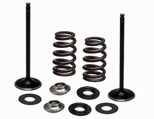 KPMI 发动机 SS INTAKE VALVE/SPRING KIT