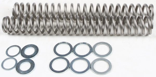 RACE TECH 避震 FORK SPRING 1.10KG