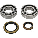 ALL BALLS 缸垫/密封 CRANKSHAFT BEARING/密封套件