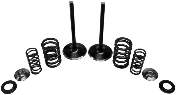 KPMI 发动机 INTAKE VALVE/SPRING KIT TENSILITE Ti