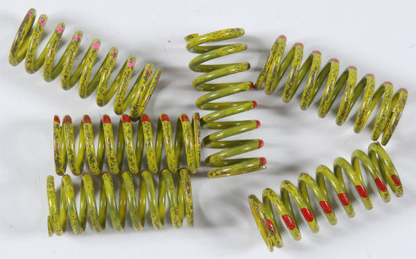 KG Kawasaki/Honda High Performance Spring Set