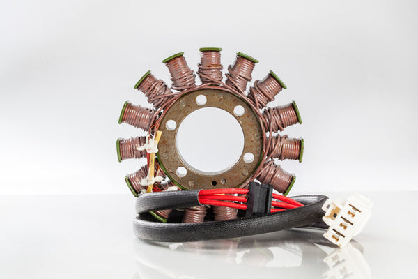 RICKS 电路装置 STATOR