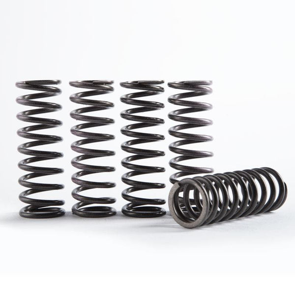 Hinson 离合器弹簧 Honda High Temp Springs 5 HON