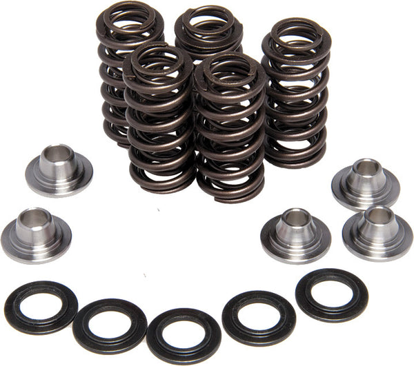 KPMI 发动机 RACING VALVE SPRING KIT
