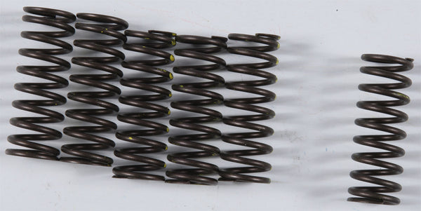 KG Suzuki High Performance Spring Set