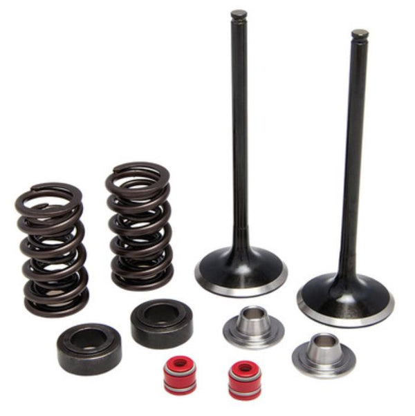 KPMI 发动机 INTAKE VALVE/SPRING KIT