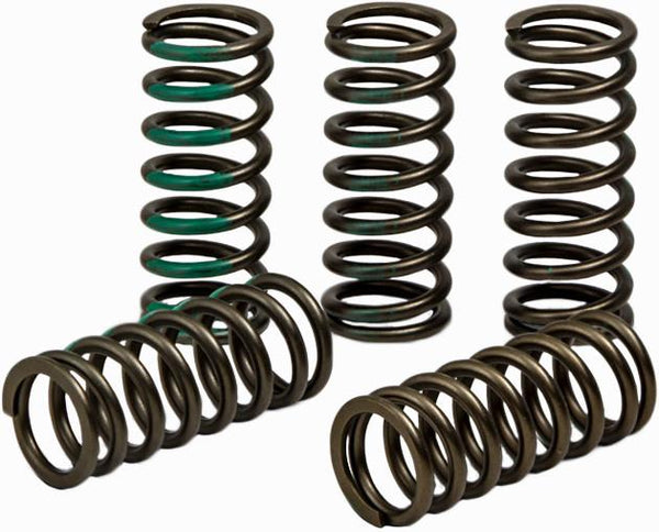 REKLUSE RACING 离合器 TORQDRIVE SPRINGS - HIGH FORCE