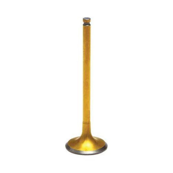 KPMI 发动机 INTAKE TI VALVE