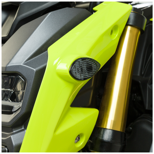 HOTBODIES 照明 FLUSH MOUNT SIGNAL TS 红