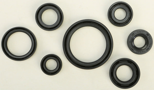 VERTEX 缸垫/密封 OIL SEAL SET