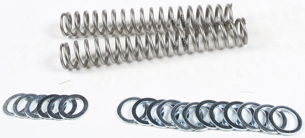 RACE TECH 避震 FORK SPRING 1.10KG