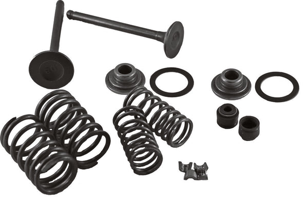 MOGO PARTS 发动机 Horizontal Engine Valve Kit