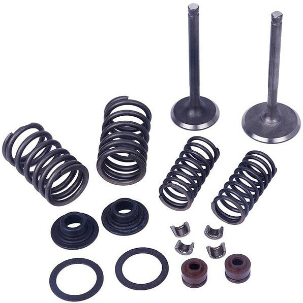 MOGO PARTS 发动机 VOG/Linhai Engine Valve Kit