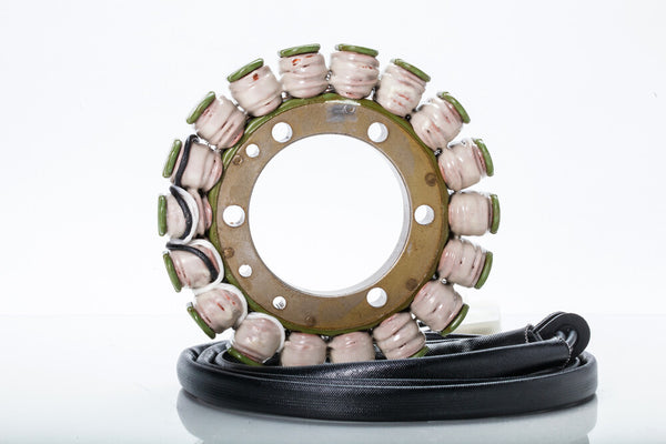 Ricks 磁电机线圈 Stator