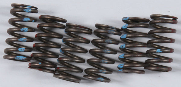 KG High Performance Spring Set