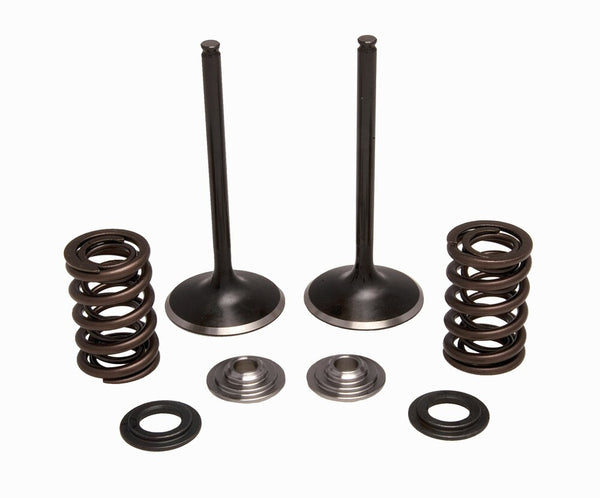 KPMI 发动机 INTAKE VALVE/SPRING KIT STAINLESS