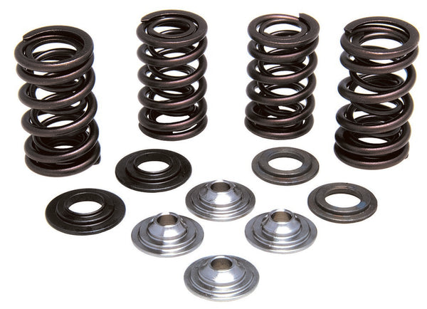 KPMI 发动机 RACING VALVE SPRING KIT