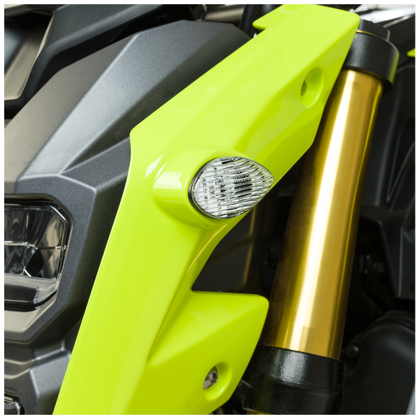 HOTBODIES 照明 FLUSH MOUNT SIGNAL TS SMOKE