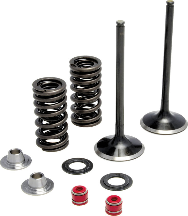 KPMI 发动机 INTAKE VALVE SPRING KIT