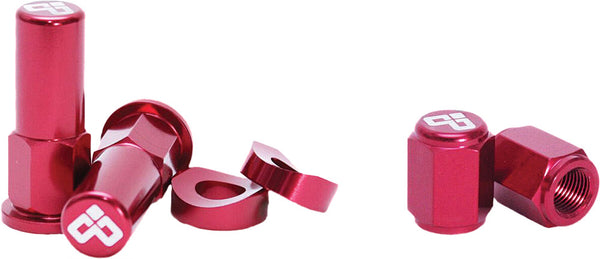 DUBYA 轮胎附件 Rim Lock Nut & Valve Stem Cap Kit