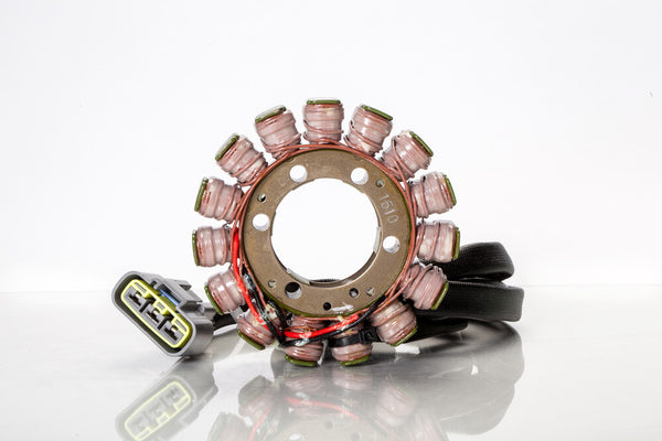 RICKS 电路装置 STATOR
