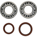 ALL BALLS 缸垫/密封 CRANKSHAFT BEARING/密封套件