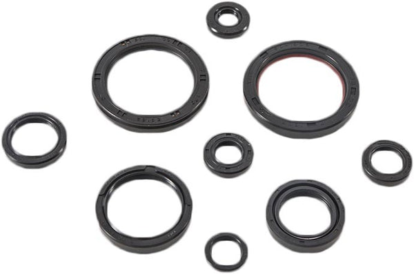VERTEX 缸垫/密封 OIL SEAL SET